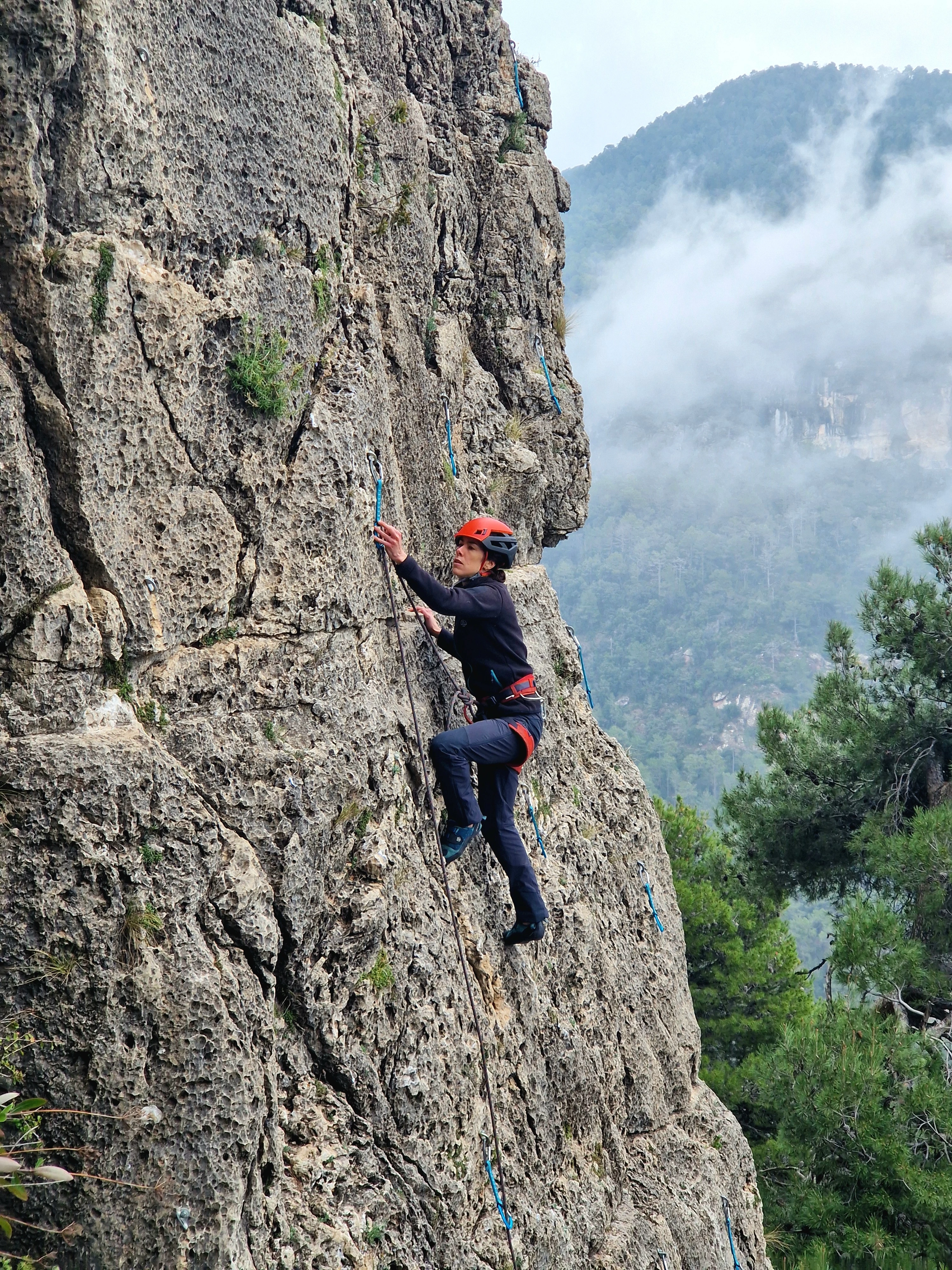 Imagen de actividad 5